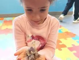 Castanhas e Pijamas